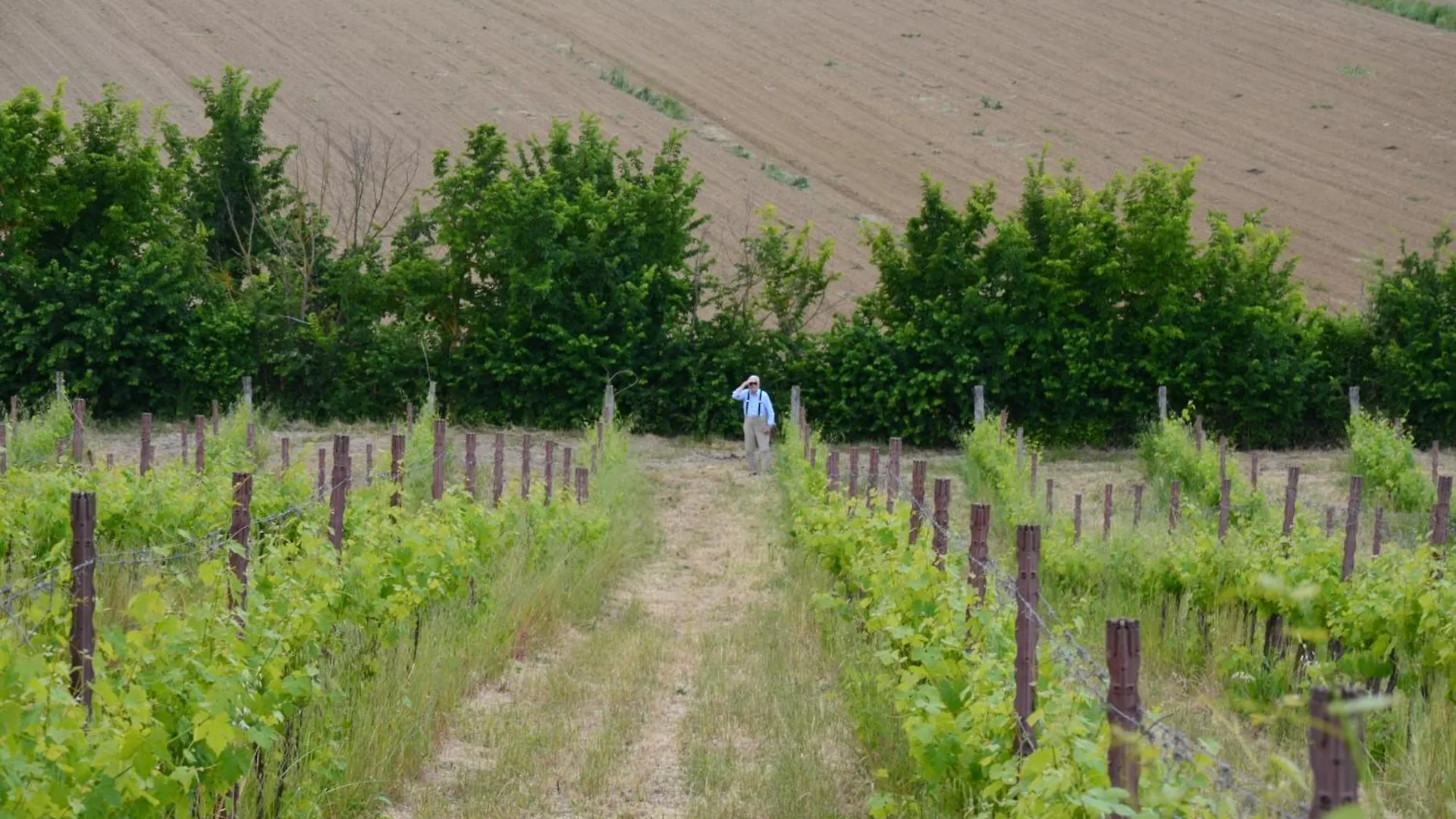 Agriturismo Sant'Alfredo Monteroni d'Arbia Country house
